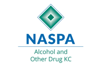 Alcohol and Other Drug