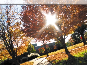 College Student Mental Health Cover