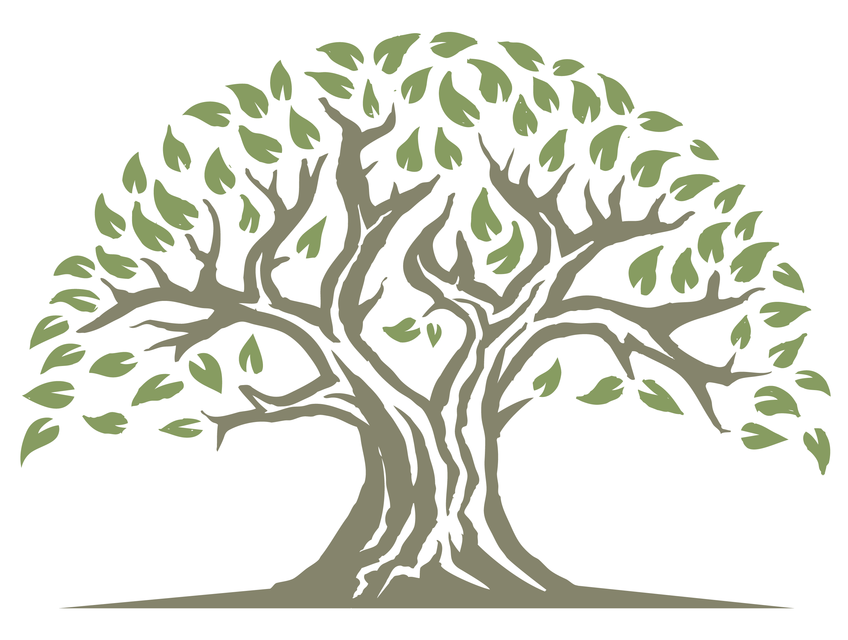 Advisors Initiatives Logo